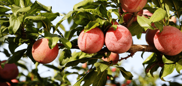 event-featured-image